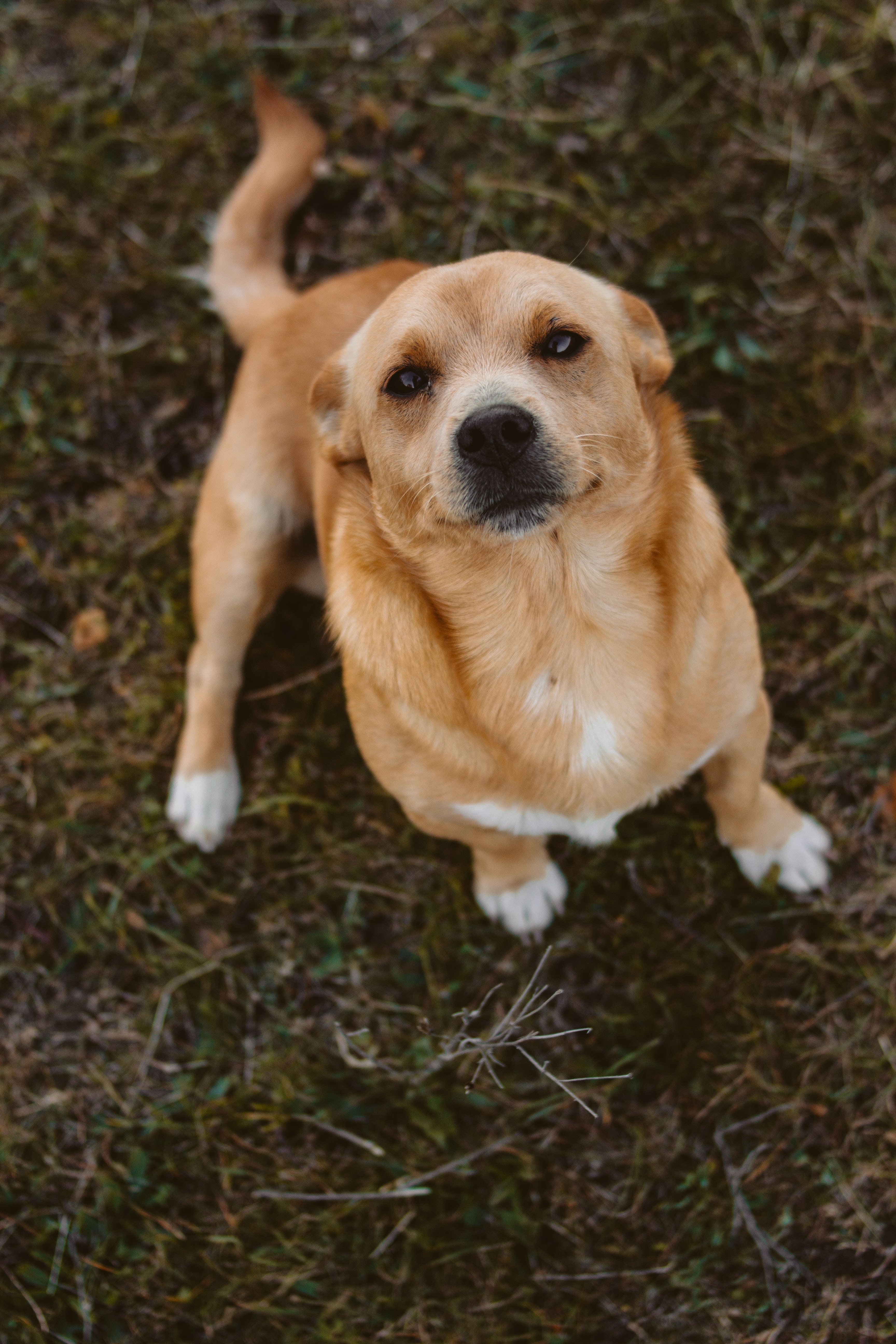 Olga